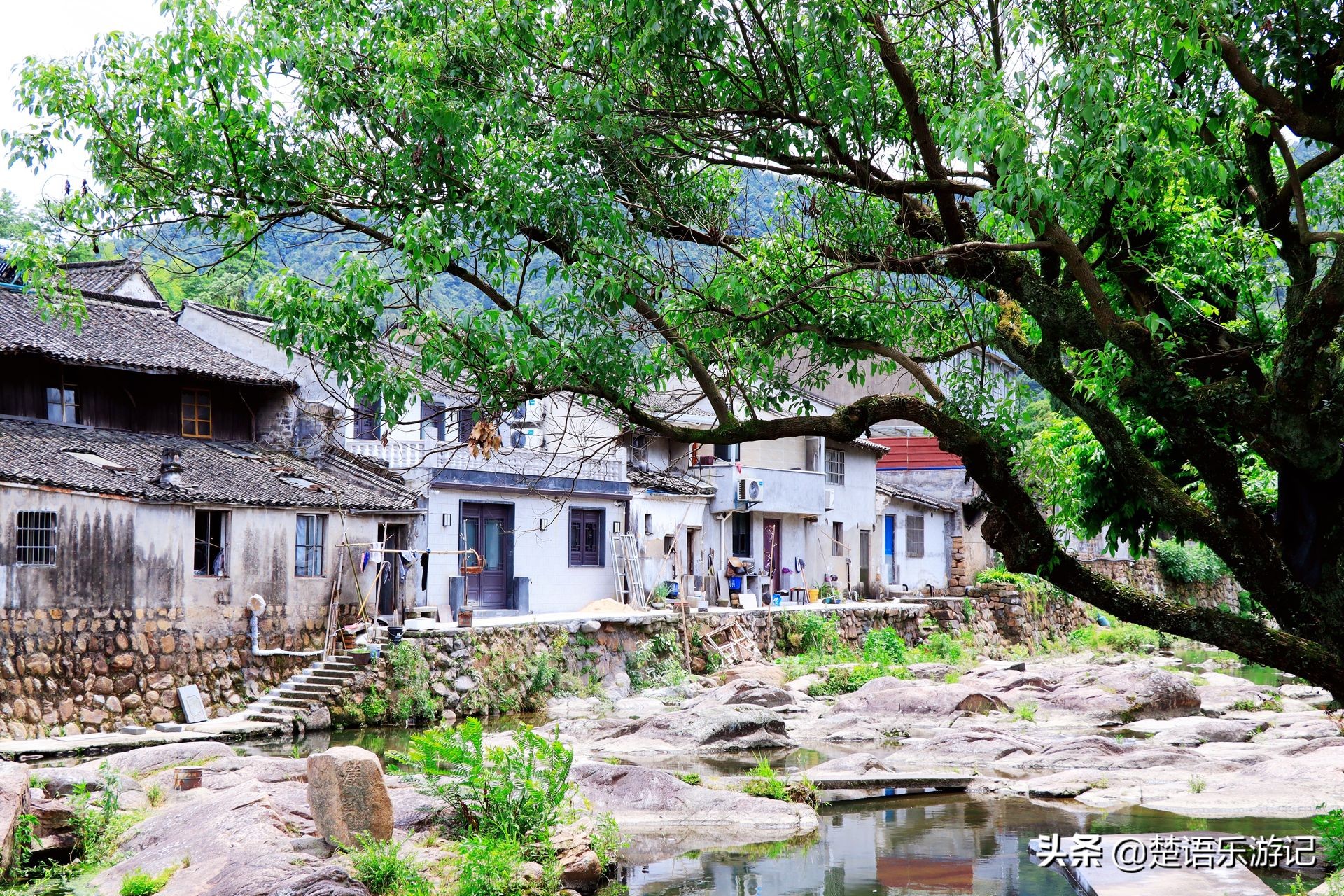 宁波慈溪最好的古村,宁波有个古村打造国际旅游村