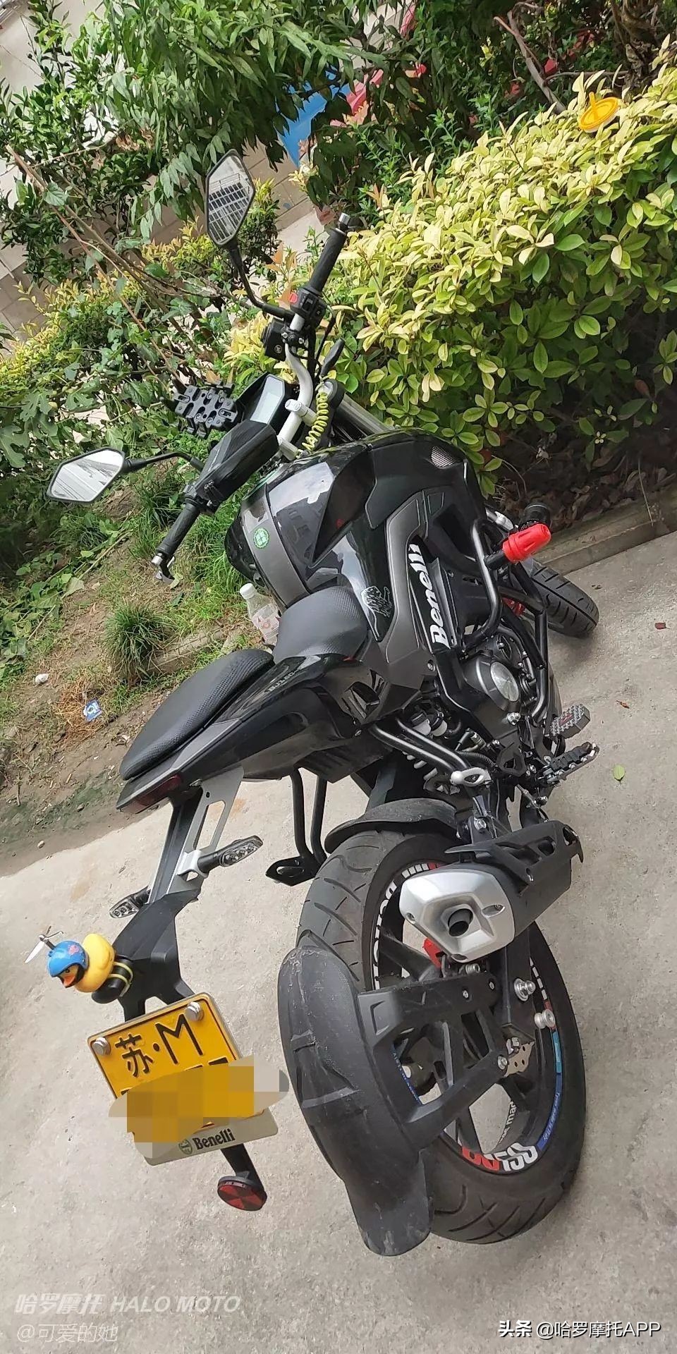 贝纳利小迅龙bn150s更换冷却液视频,22款贝纳利小迅龙150s测评