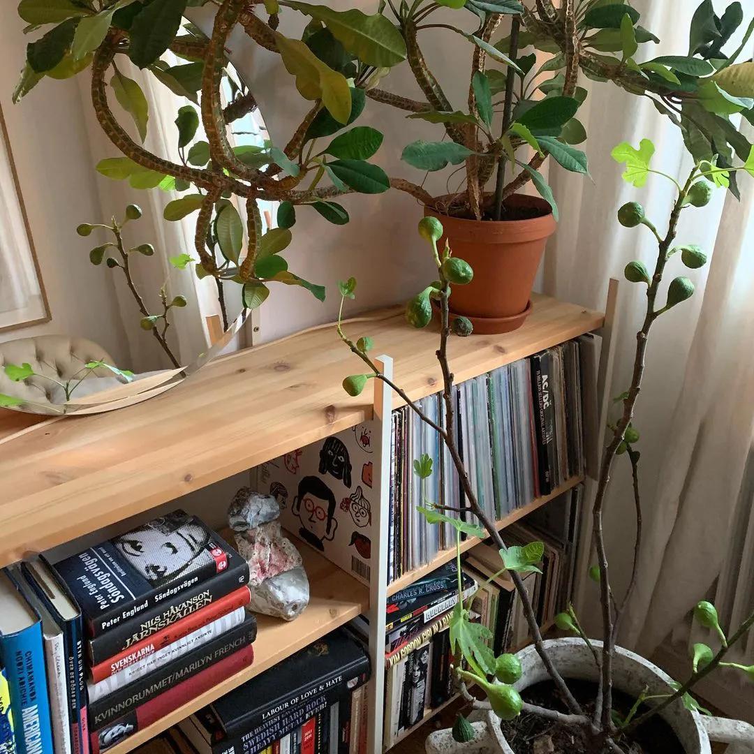 鍘昏В蹇ф潅璐у簵,鍘昏В蹇ф潅璐у簵瑙e咖