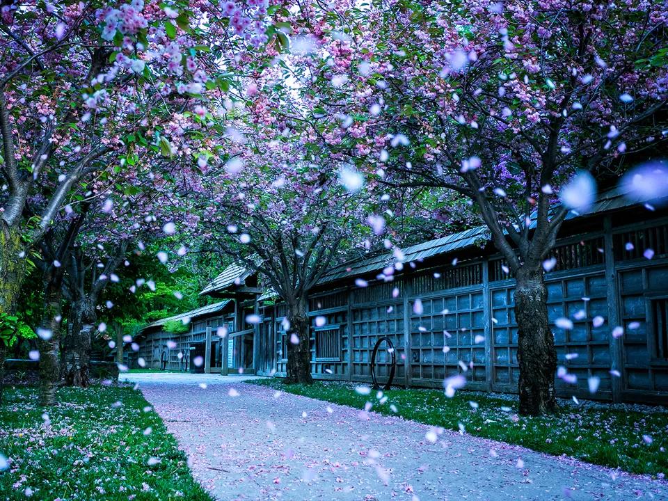 徐志摩最美十首诗有声阅读,徐志摩最美的10首诗歌浪漫唯美