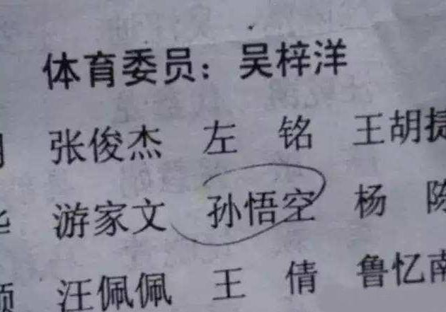 小学生因名字走红连名带姓共两笔,小学生因姓名笔画少走红
