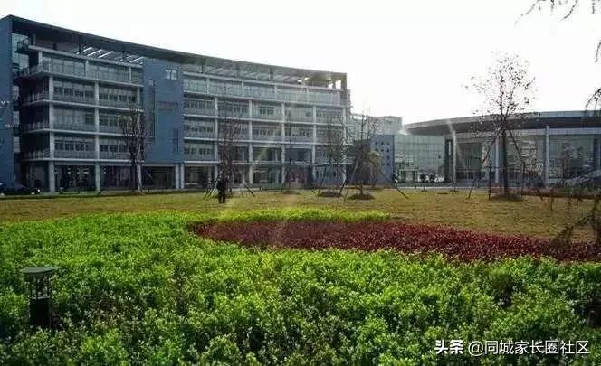 南京致远外国语小学和金中实小,南京市建邺区致远外国语小学