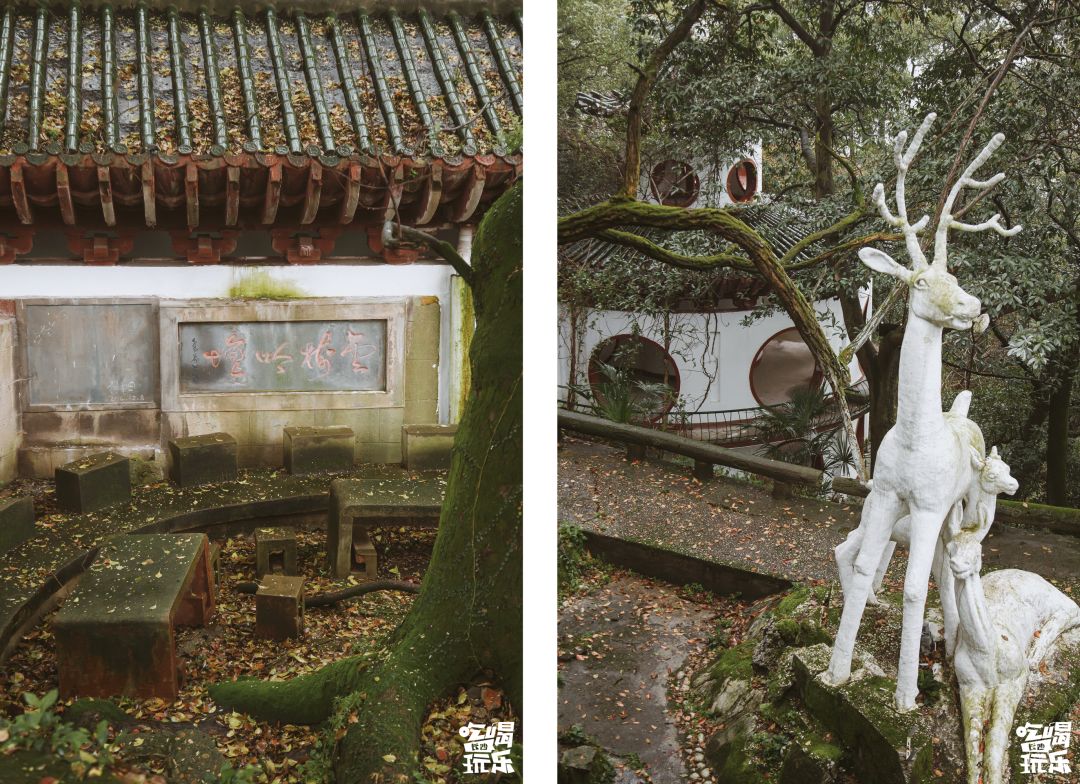 24小时吃遍益阳,3天2夜吃遍西宁