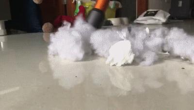 家狗身上痒有脱毛现象怎么办,狗到夏天脱毛特别严重