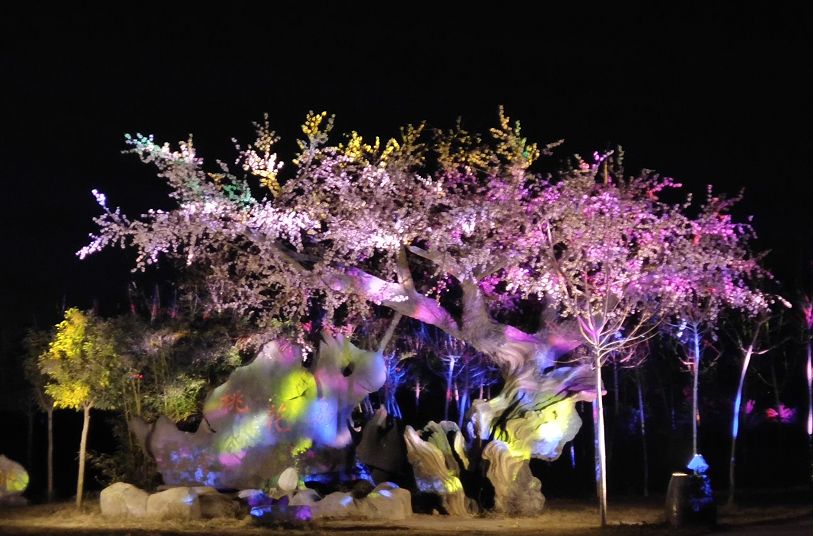 温泉灯光展,温泉灯光秀打卡点