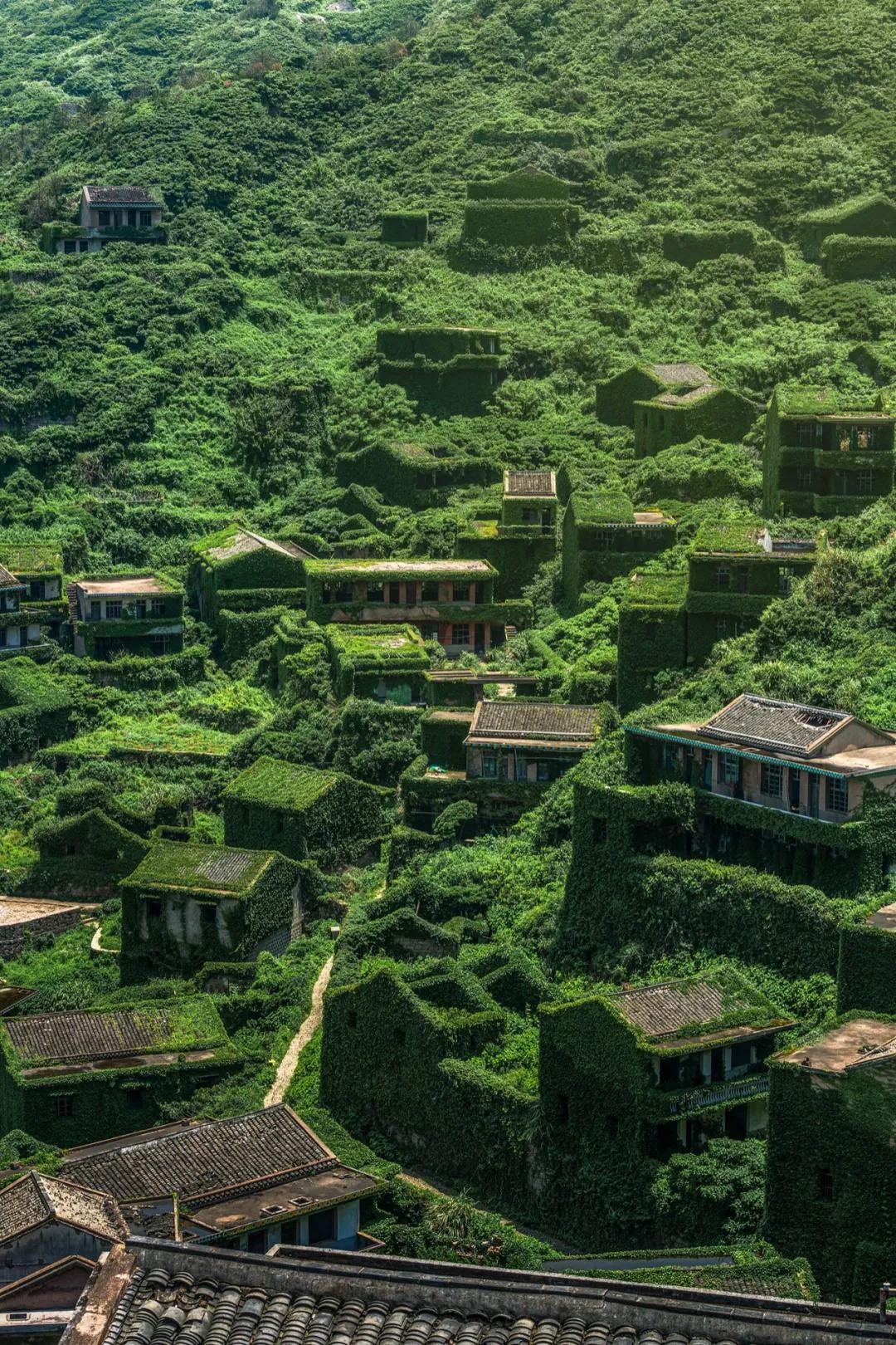 谁，才是包邮区的“海鲜帝国”？