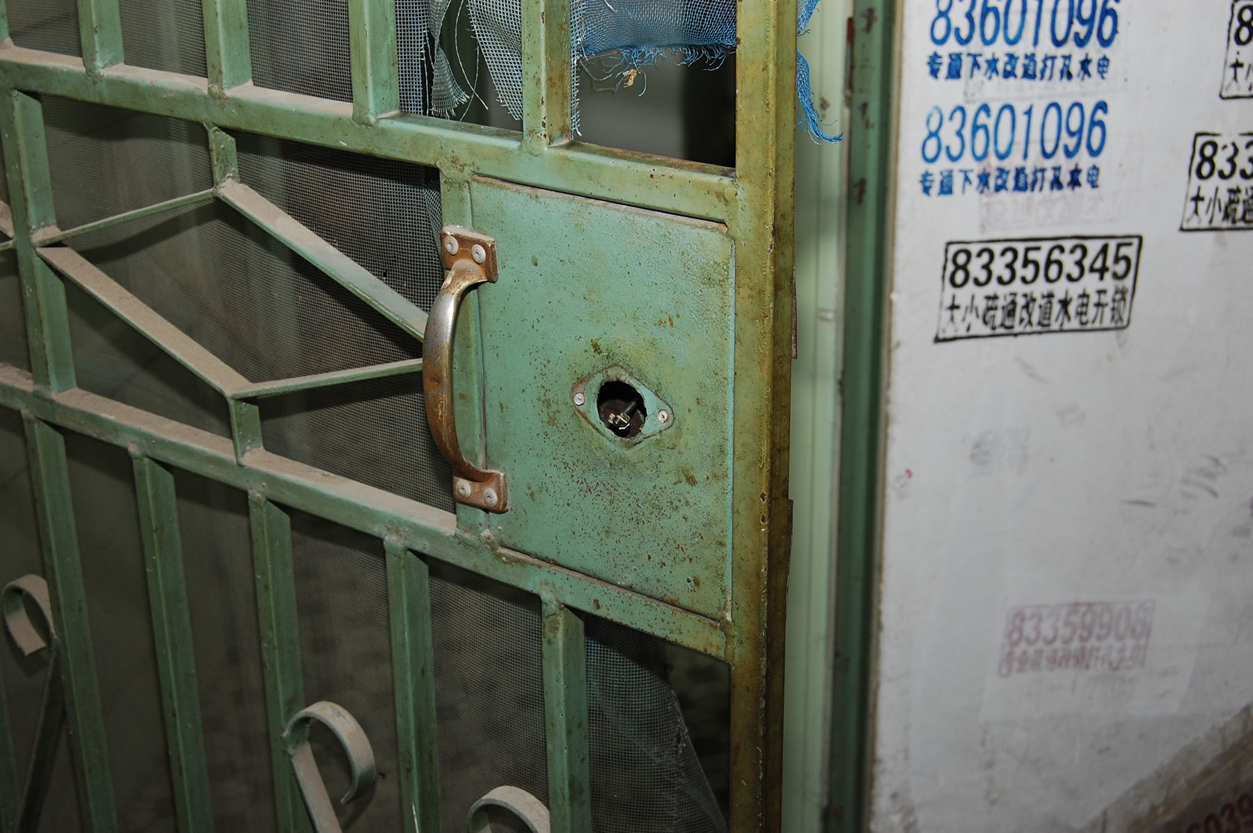 尼康d40x详细介绍,尼康d40x狗头机