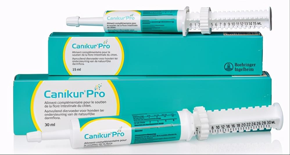 澳洲怎么养猫新手教程,德国养猫必备清单