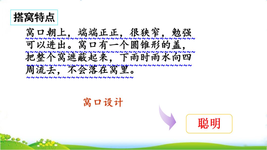 五年级语文第17课松鼠讲解,五年级上册第17课松鼠教材详解