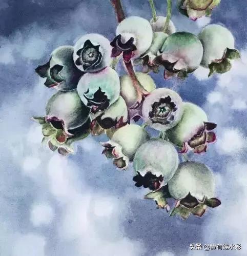 晶莹剔透的葡萄,水彩葡萄图片