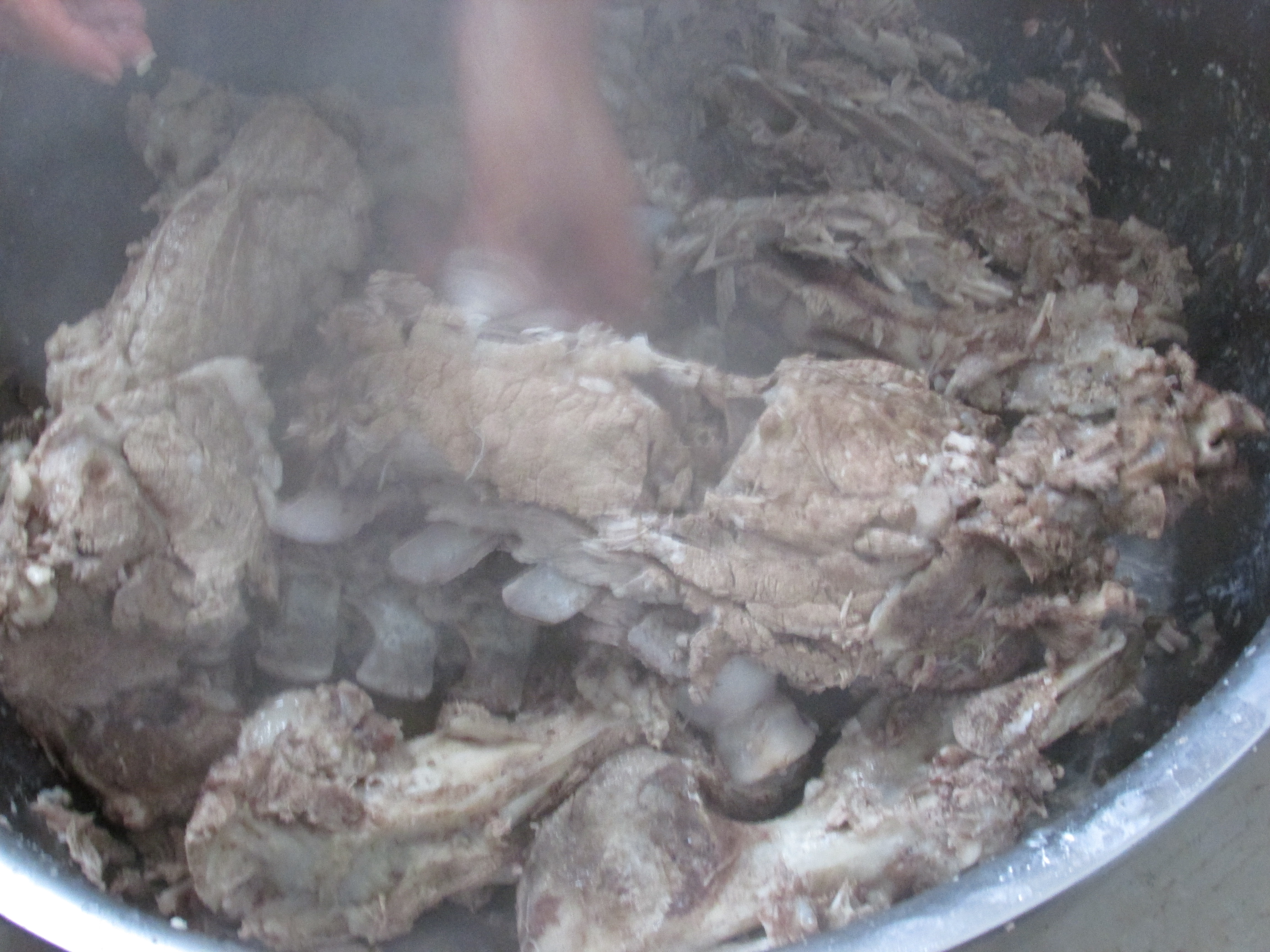 东北杀年猪来吃猪肉,老东北杀年猪