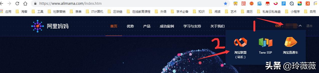 淘客新手必备项目,淘客店怎么从零开始做