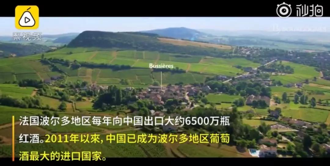 赵薇法国酒庄现状,赵薇购买法国酒庄是真的吗