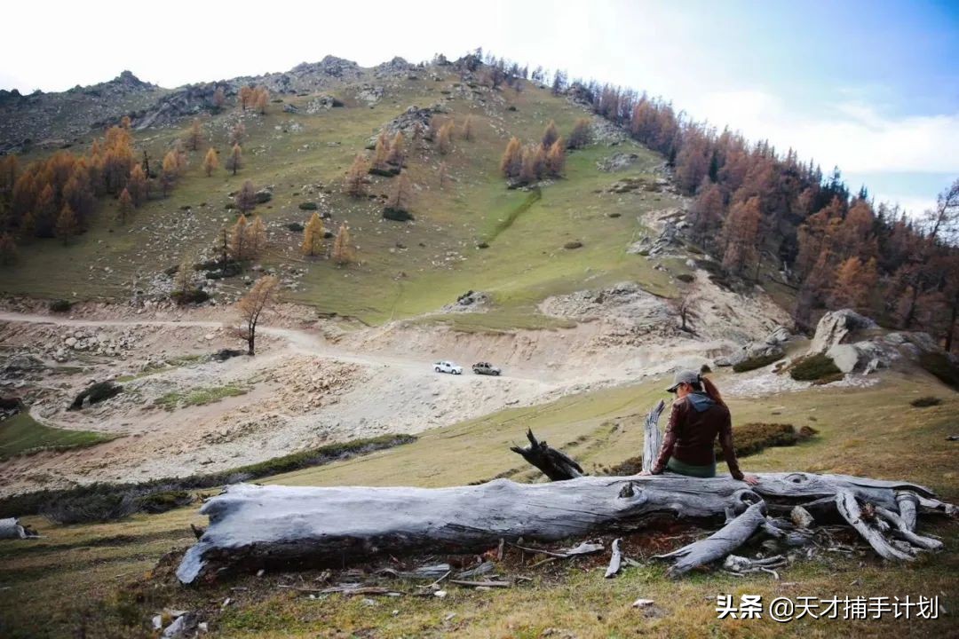 这个工作很带劲儿:94年女孩,三年救了60只猛兽的命