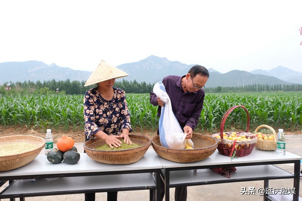 海淀对口帮扶丹江,海淀京津冀协同发展