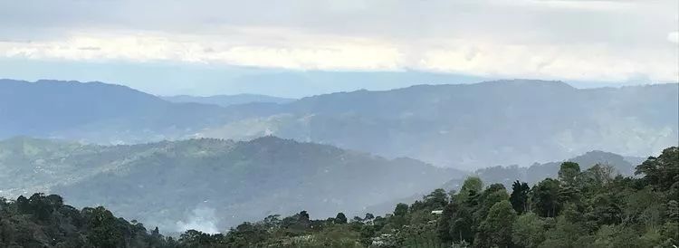 咖啡产地,世界咖啡产区分布图