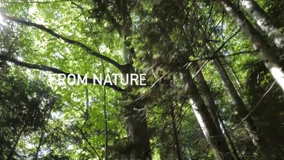 瑞士卢森地板和圣象哪个好,瑞士地板品牌卢森价格