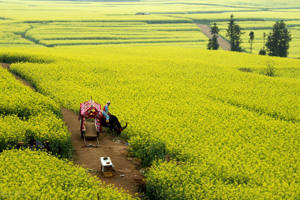 新都桥最美的十大景点,中国自然风光最美的十大旅游景点