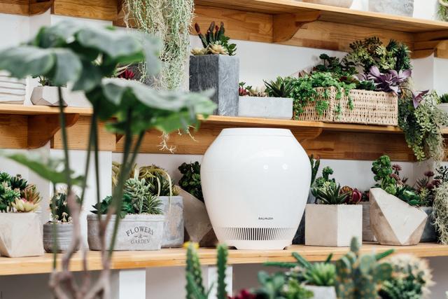 日本净化加湿器,可以净化空气的加湿器