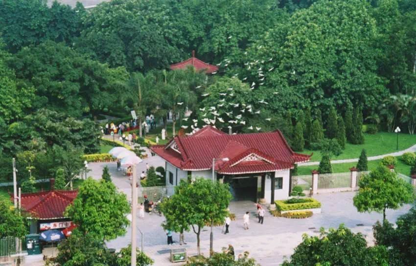 宝藏新公园周末好去处快来打卡,必打卡的宝藏公园