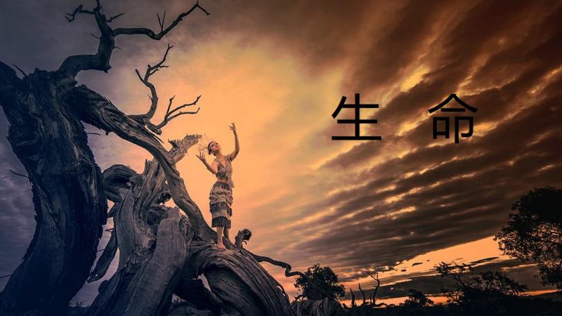 年轻人的早逝，可能是人类消亡的开始，科学实验为何会有如此结论