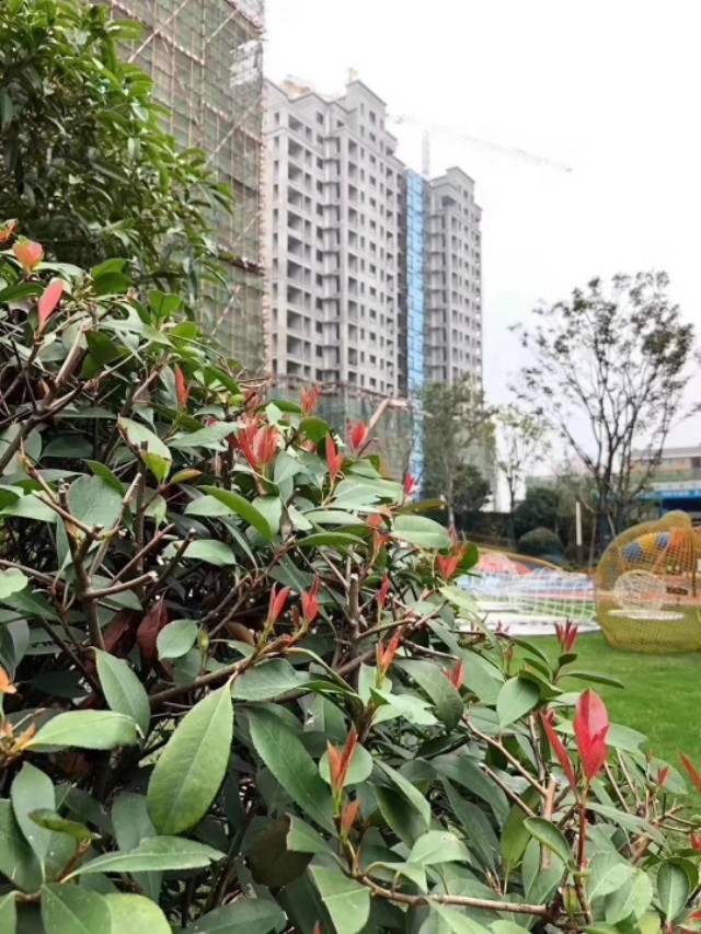 岳阳中建嘉和城可以装推窗吗,岳阳中建嘉和城周边规划