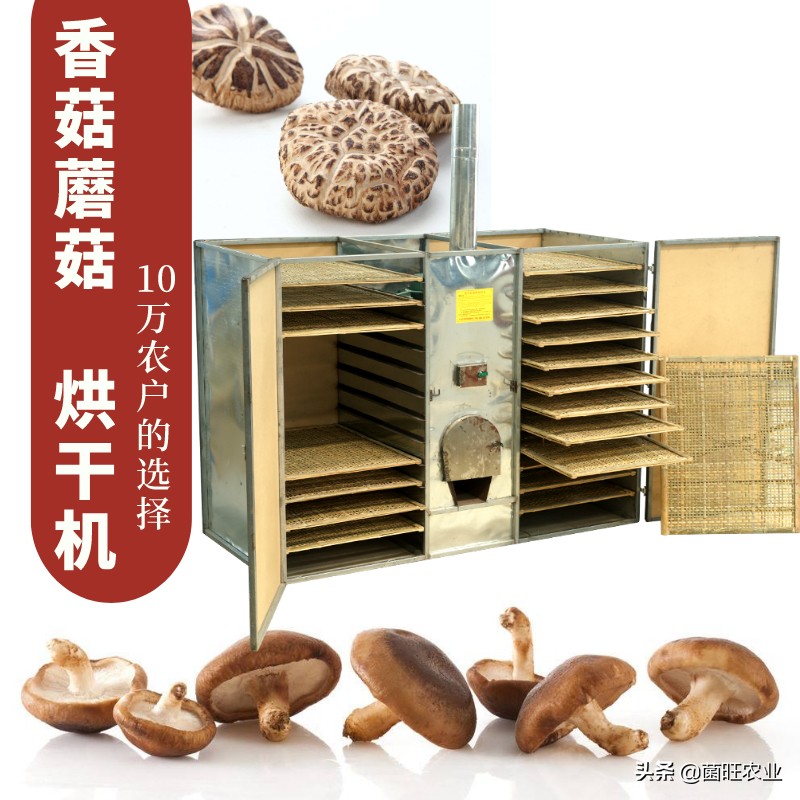 家庭没有烘干机香菇怎么烘干,香菇烘干机的操作
