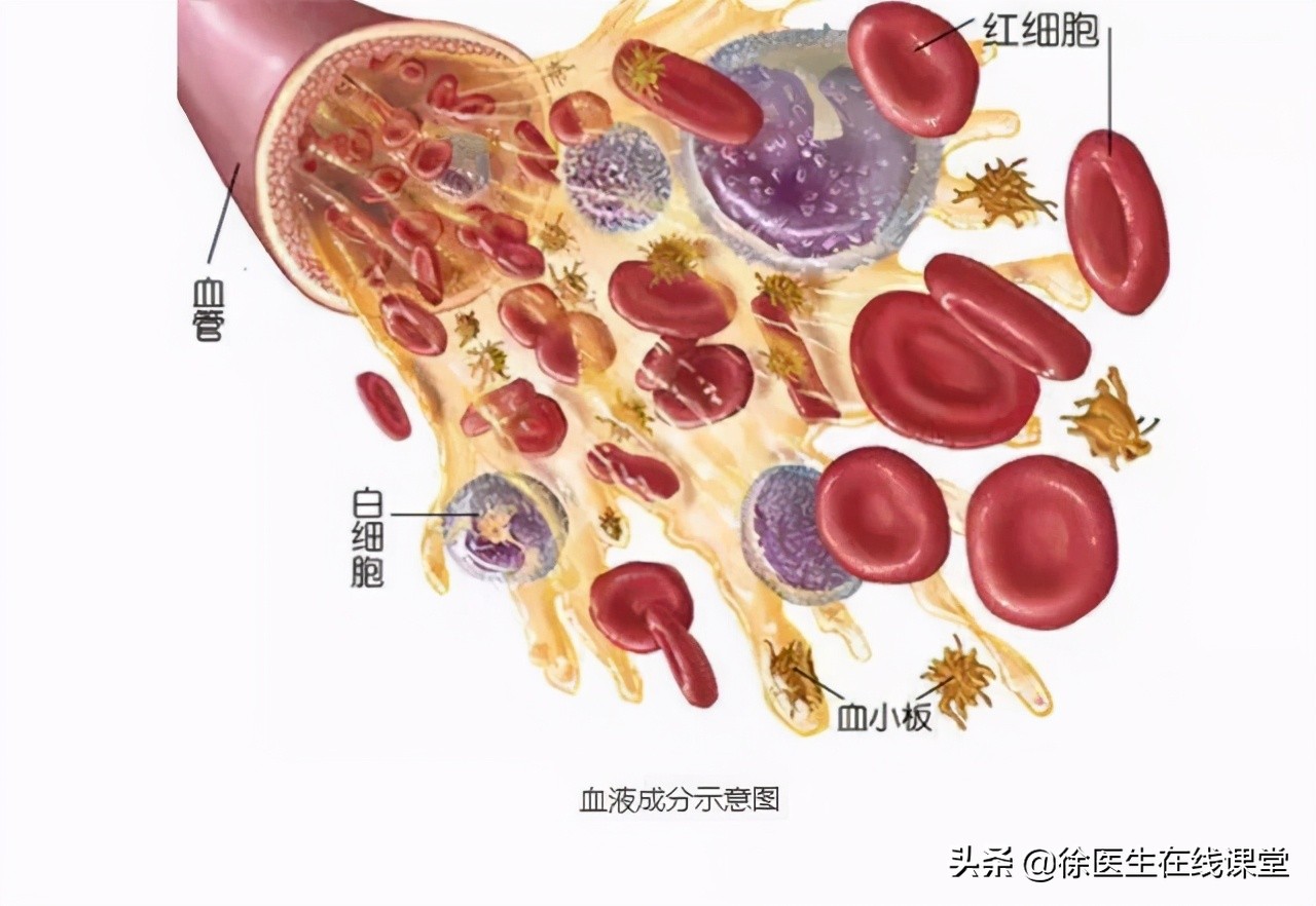 血常规能看出癌症转移吗,血常规能查出癌症骨转移吗