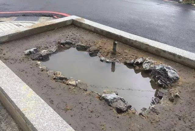 鱼池如何改造成花池,花池改鱼池如何做过滤