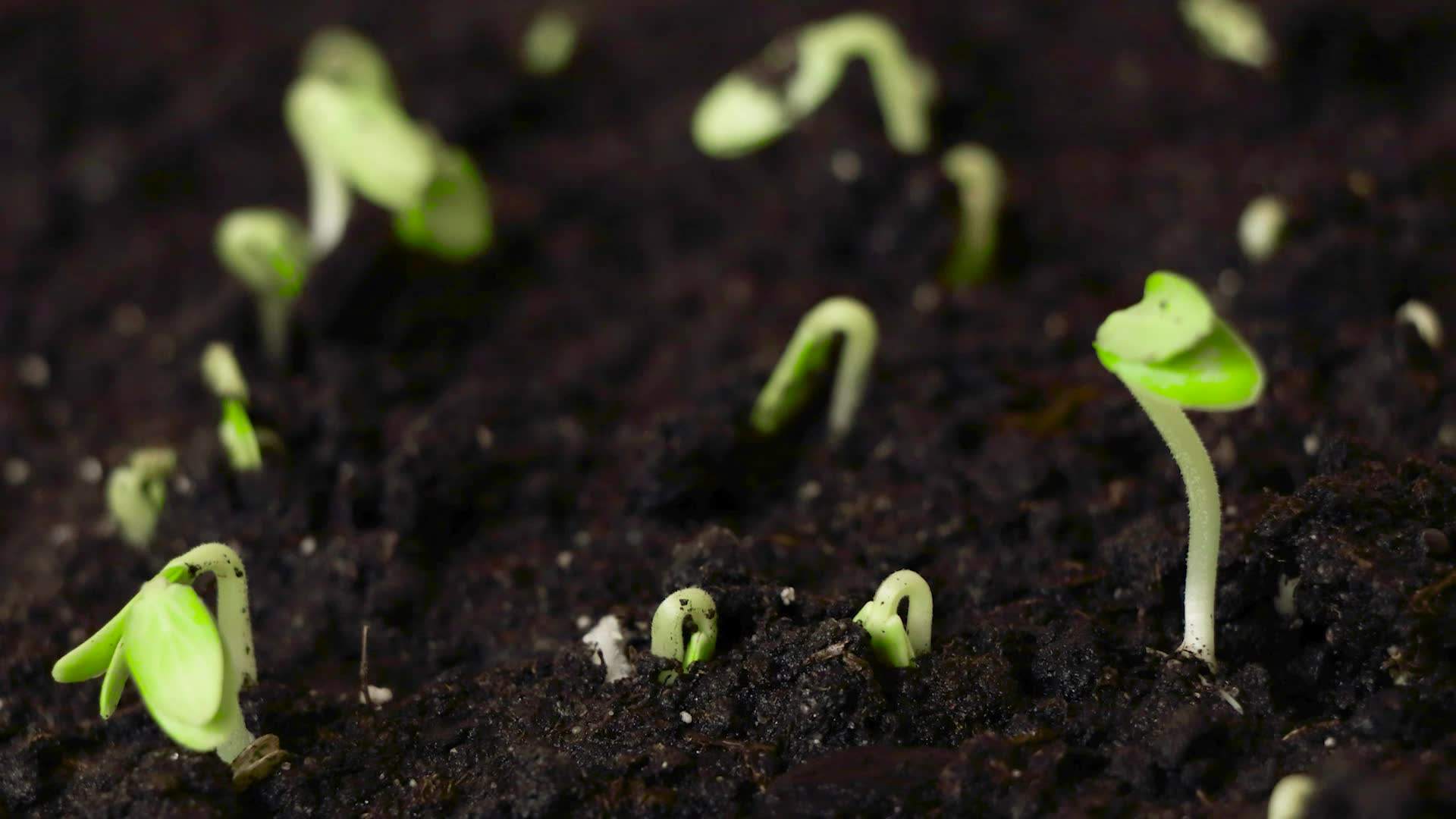 摆脱焦虑与恐惧2个简单方法,战胜焦虑的正确方法