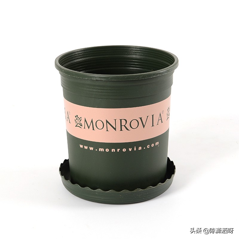 常见花卉花盆图片大全,各种花盆的优缺点图片介绍