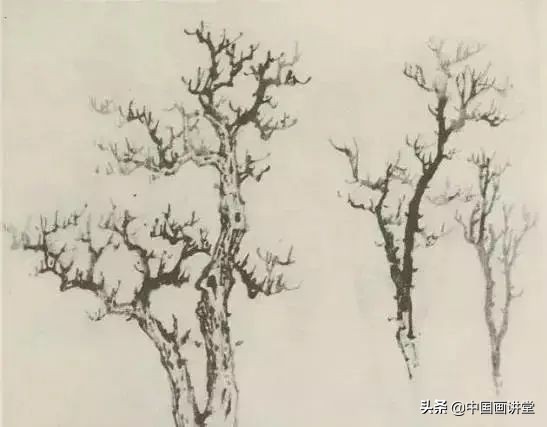 缠枝、挺杆、屈节、钮裂、一棵树如何画？看了这篇你绝对能学会