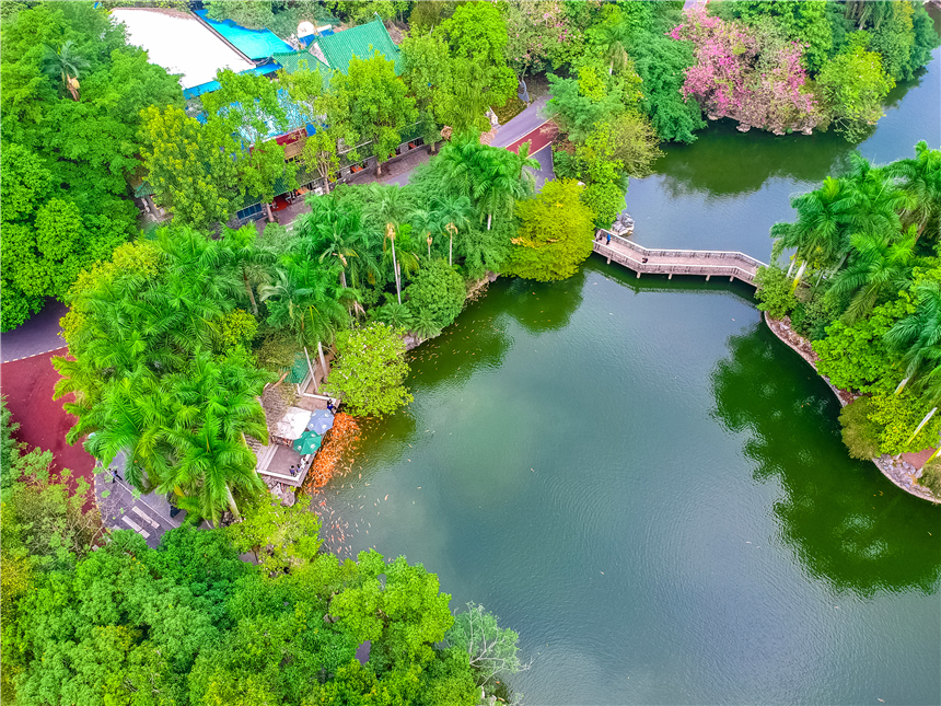 广西最不可思议城市,广西最奇葩的城市是哪个