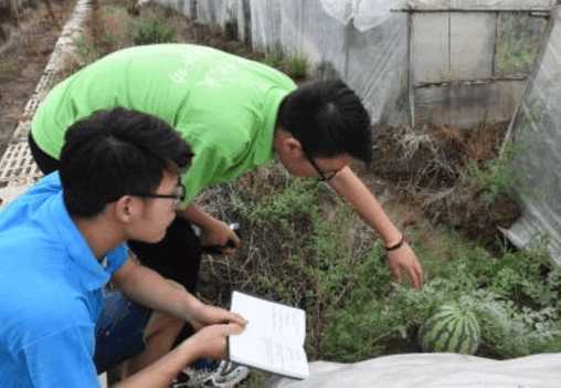 故事：大学生创业卖西瓜，每天送乞丐一个瓜三天后，乞丐走了惊喜却来了