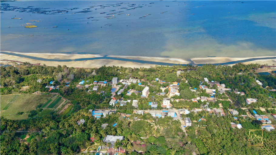 海南猴岛旅游自由行攻略,海南猴岛和呆呆岛攻略