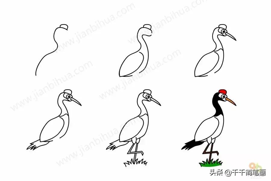 儿童简笔画：50组动物素材，简单易学，马住画起来！