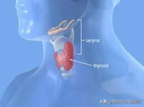 甲减患者生理期长胖是什么原因,甲减是否会导致新陈代谢变慢