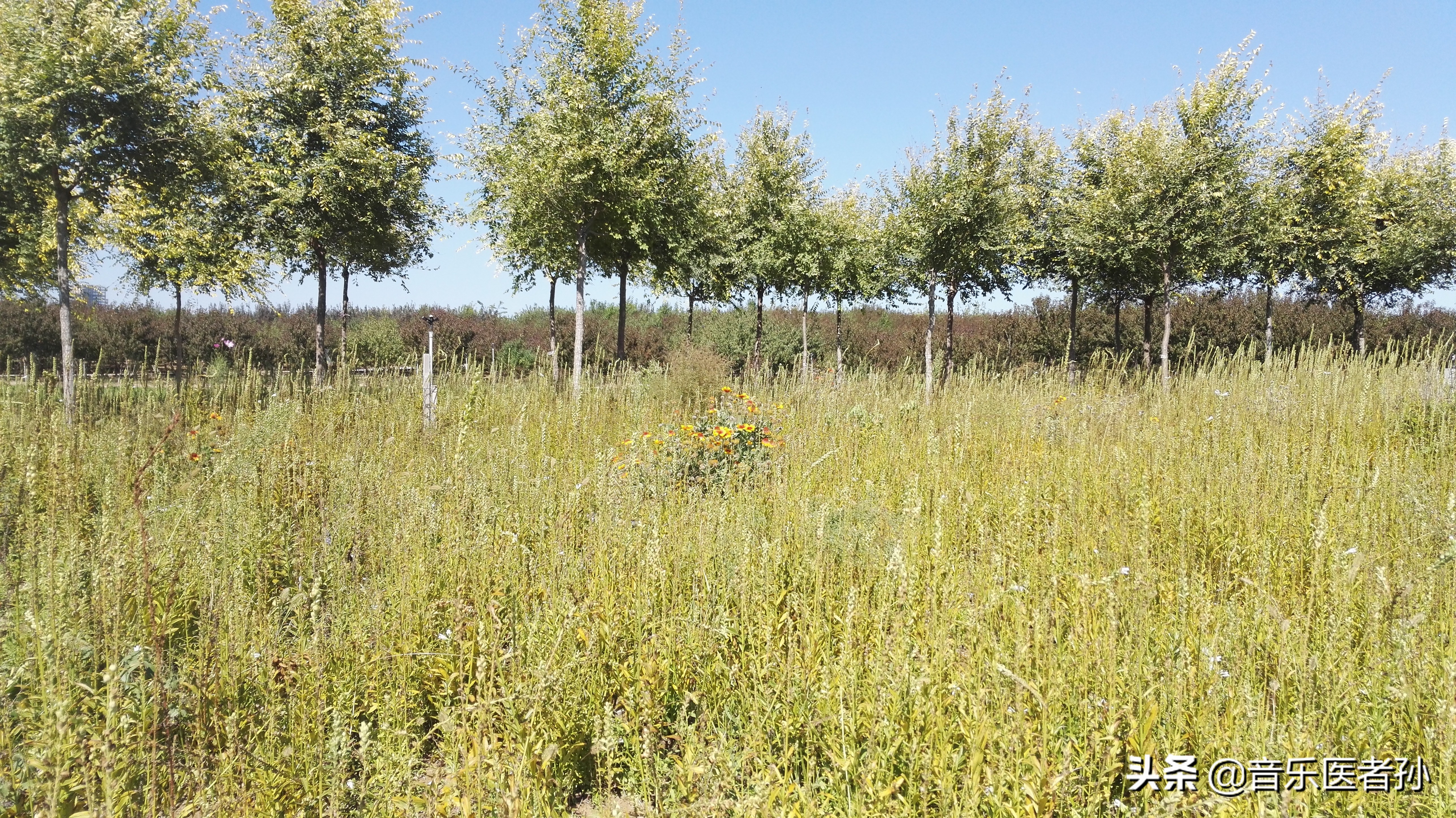 多发性骨髓瘤的三期,轻链型多发性骨髓瘤如何分期