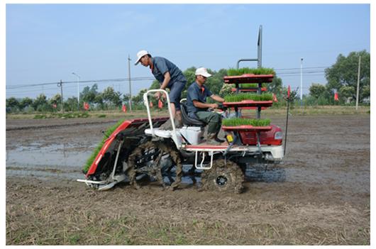 沃得水稻插秧机施肥机,新款沃得插秧机可以用几年