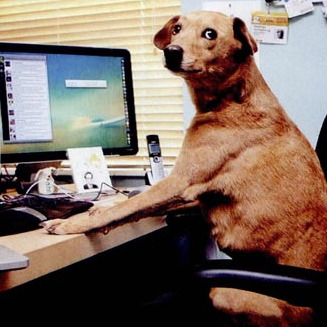 word功能超级强大,word强大到可怕