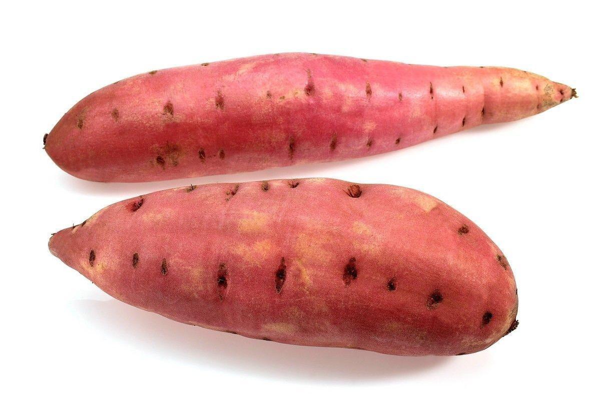 野生地瓜酒制作全过程,纯粮地瓜的制作方法