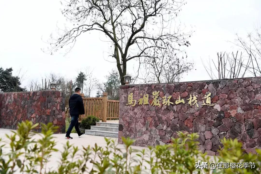 马祖岩人文公园大概多少公里,马祖岩人文公园夜光路