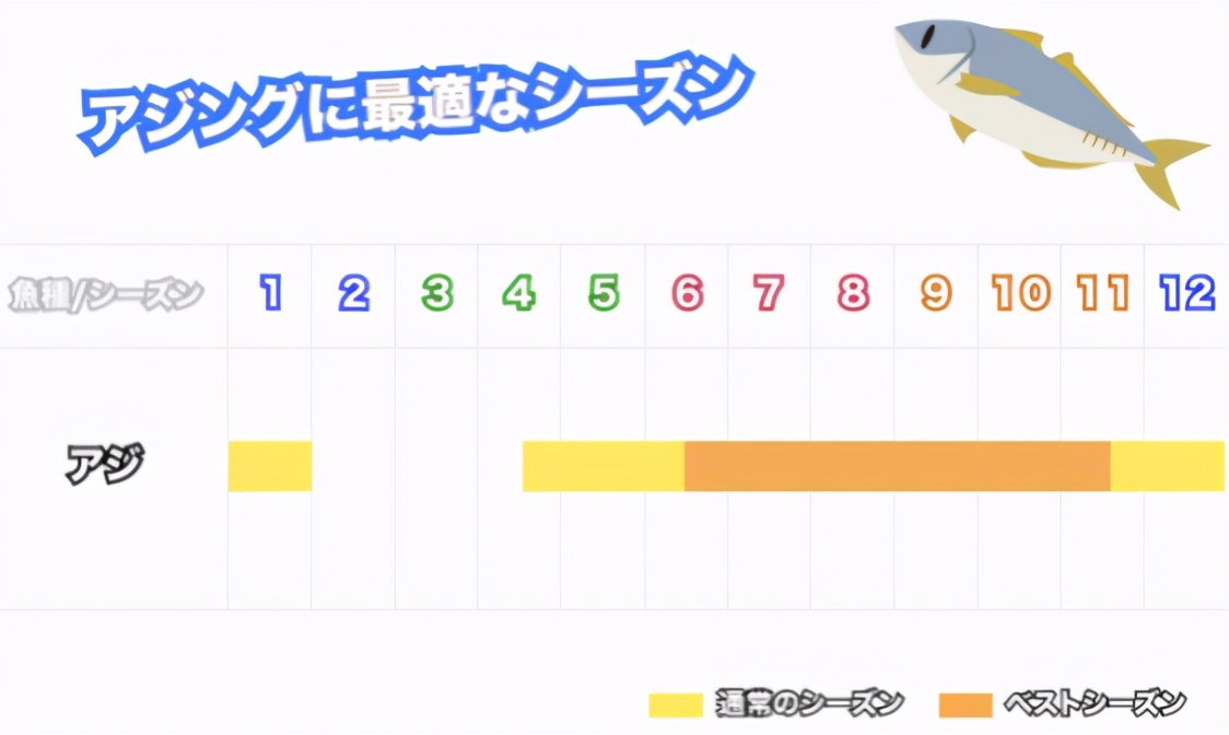 青竹鱼钓法和饵料,日本竹荚鱼的做法