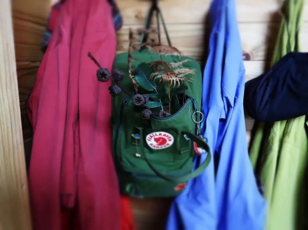 4位鼎石女生的科学梦