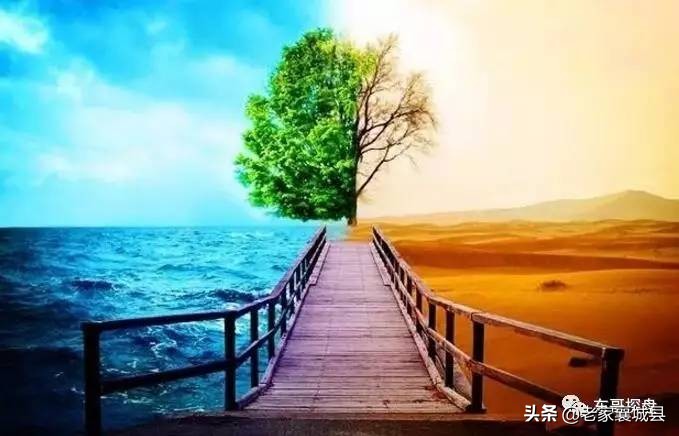 南龙湖高校,郑州市南龙湖宜居教育园