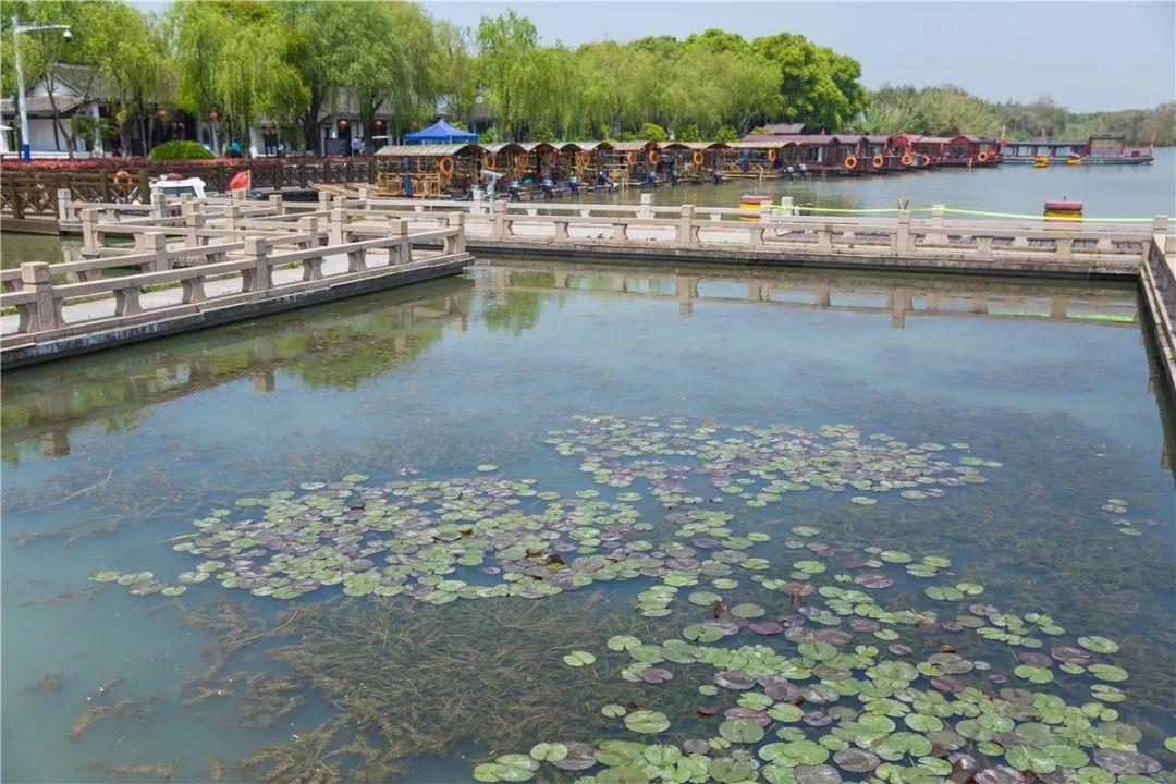 沙家浜：名门闺秀的英雄豪气