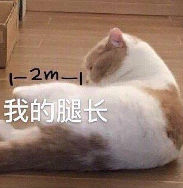 沙雕群聊昵称5人,沙雕群聊昵称富婆