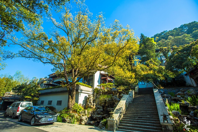 杭州九溪附近的酒店,杭州九溪1921酒店