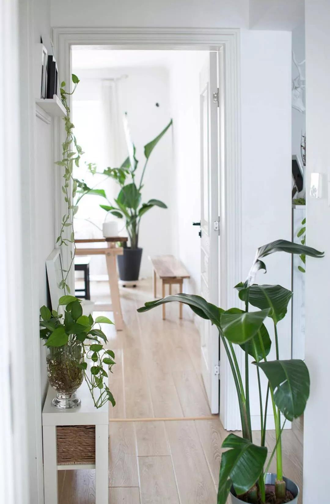 小夫妻98㎡家意外走红！登北京地铁广告，这个家才是都市里的奢侈