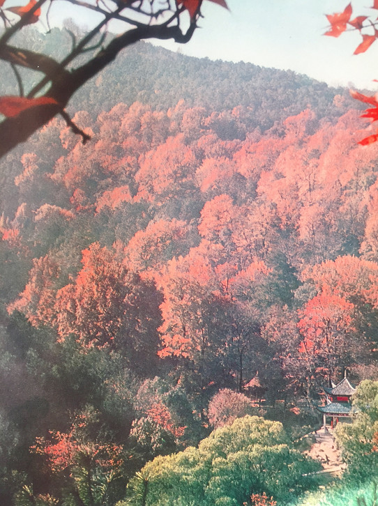 长沙河西溁湾镇老照片,溁湾镇小学的回忆